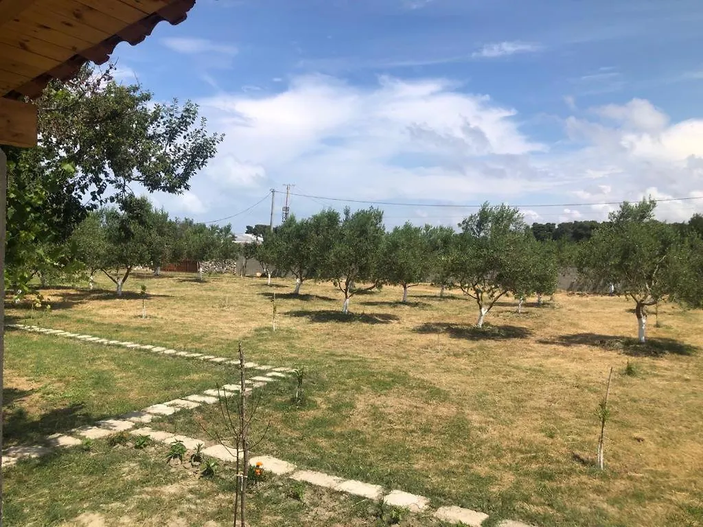 Diarla'S Home Fier Albania